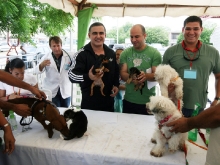 Tarek cerró con éxito Primera Jornada de Protección y Esterilización de Mascotas